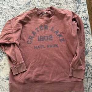 American Eagle Outfitters Brown/Rust Graphic Sweatshirt